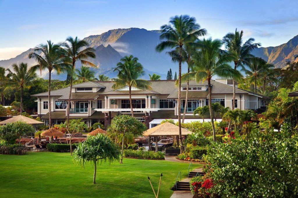 a lush green field with palm trees and a mountain in the background.