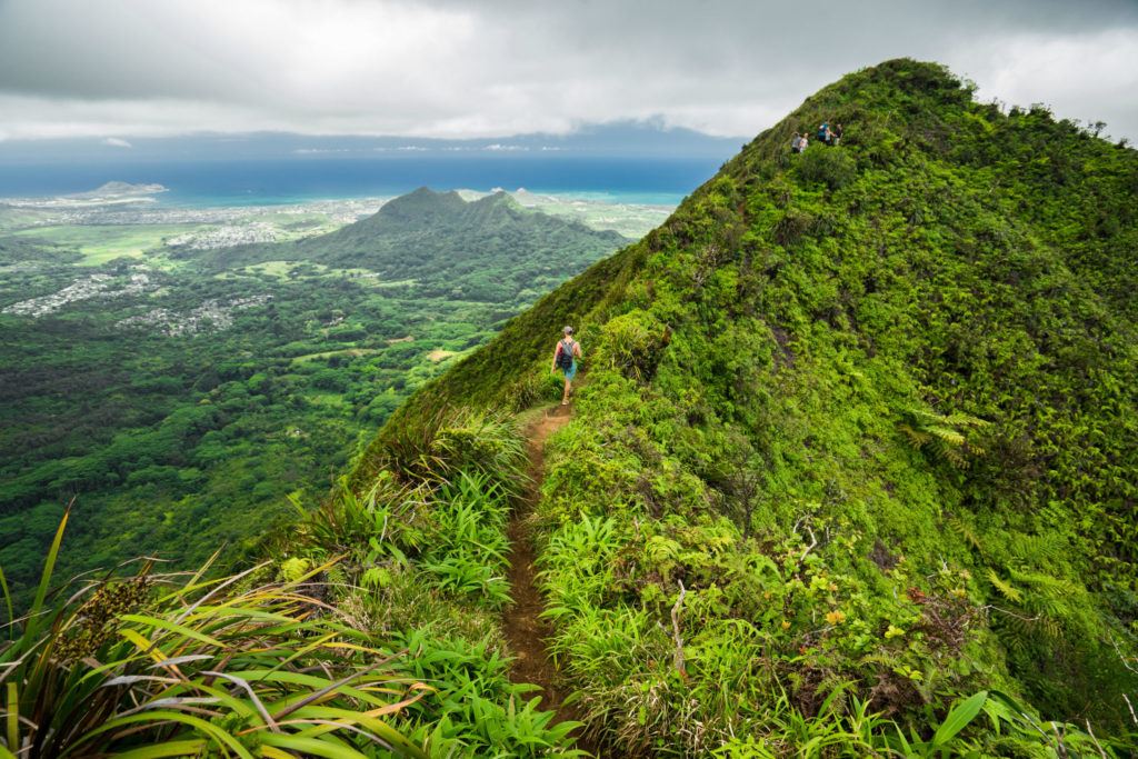 mount olympus oahu hike
