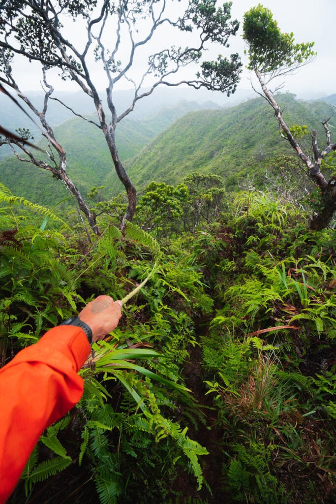 a person in an orange jacket is pointing at the mountains.