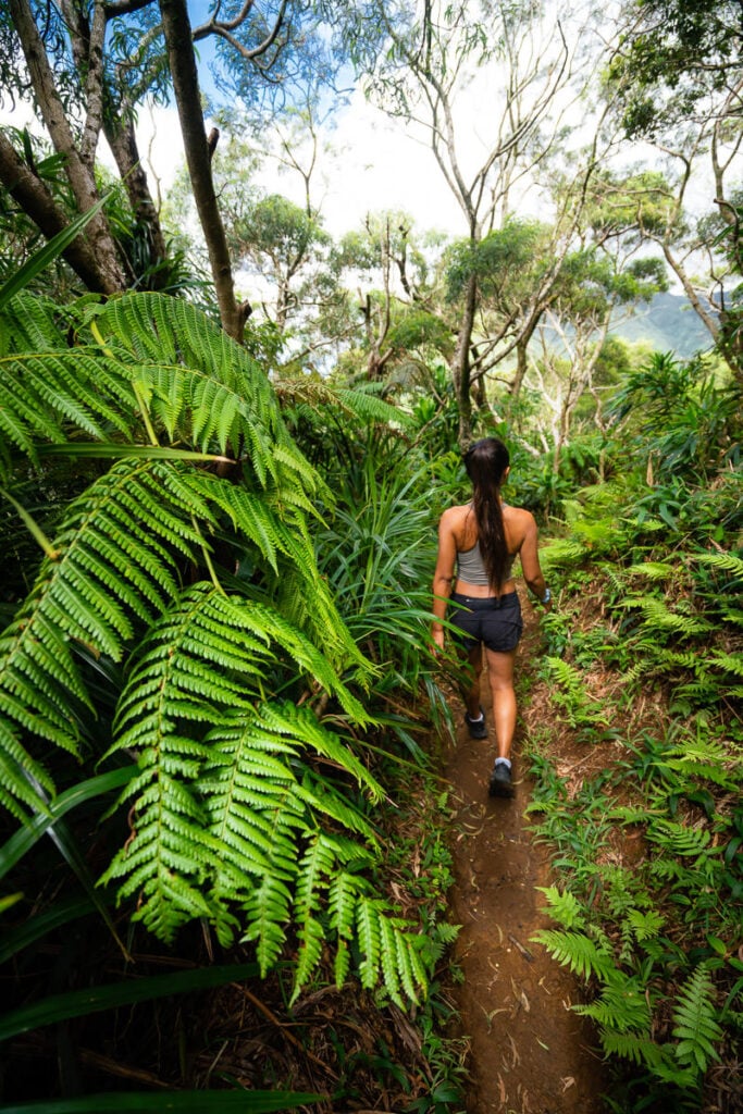 a woman walking through a lush green forest.
