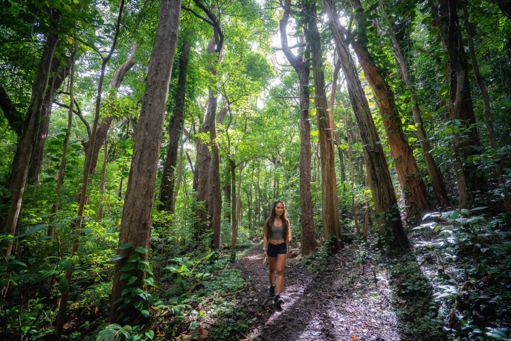 a woman is walking through the woods on a trail.