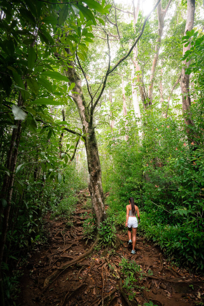 a woman walking through a lush green forest.