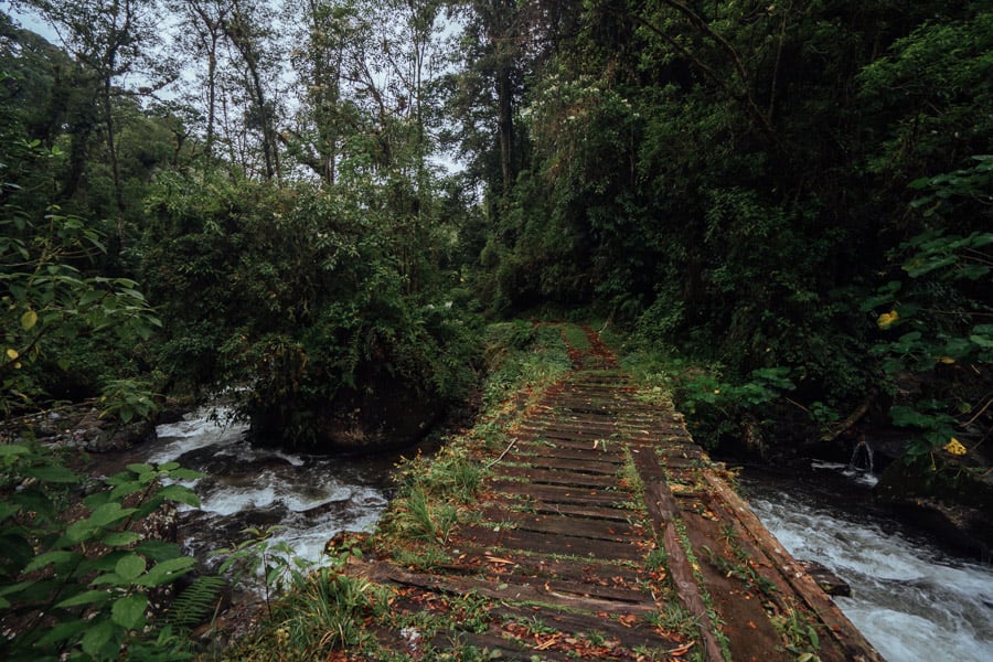 sendero los quetzales panama