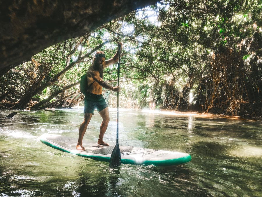 to do in cairns, cairns australia points of interest, cairns attractions, cairns australia, top 10 things to do in cairns, top things to do in cairns, what to see in cairns, what to do in cairns, best things to do in cairns, things to do in cairns, 
