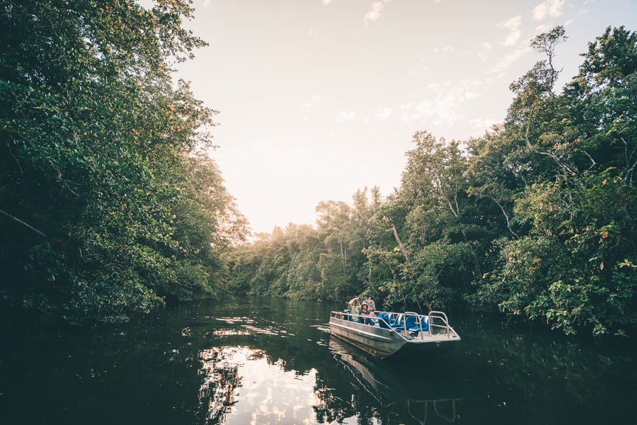 to do in cairns, cairns australia points of interest, cairns attractions, cairns australia, top 10 things to do in cairns, top things to do in cairns, what to see in cairns, what to do in cairns, best things to do in cairns, things to do in cairns, 